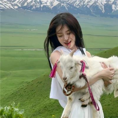 境界线上的地平线第二季